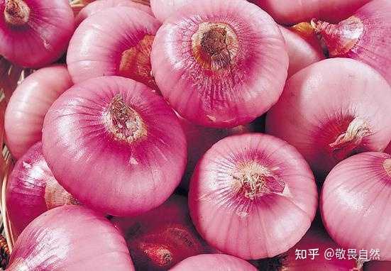 男士营养餐搭配食谱_健身营养餐男士_男性健身餐