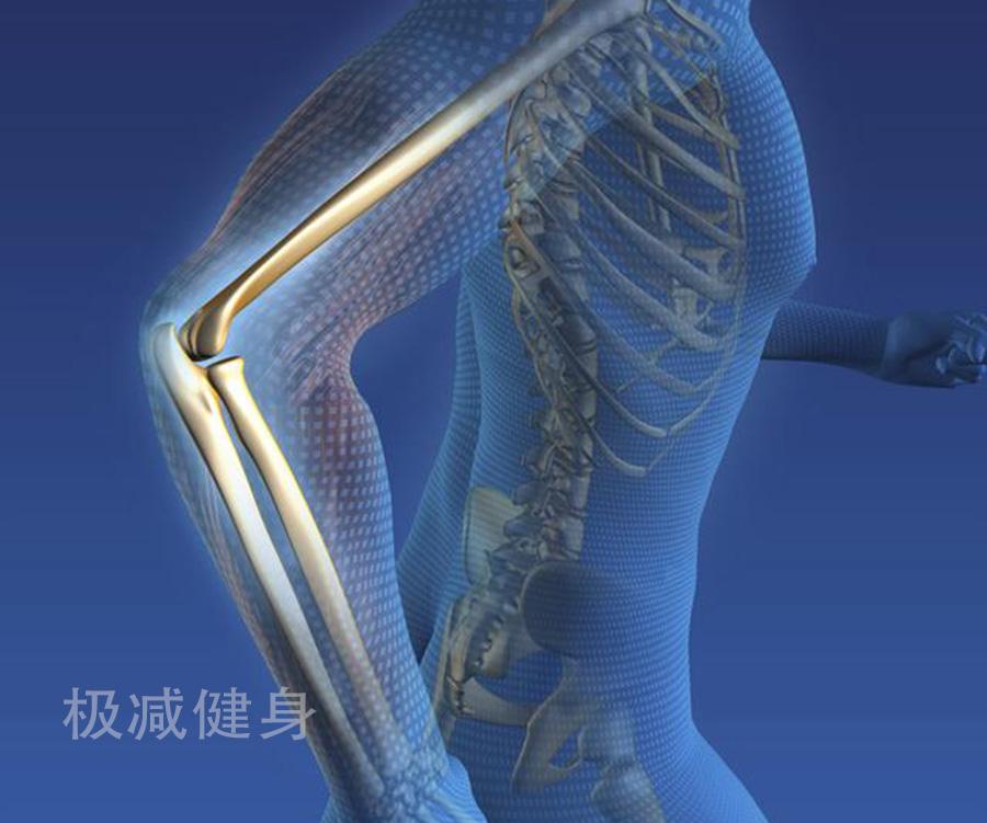 健身 关节_关节健身操_关节健身器材