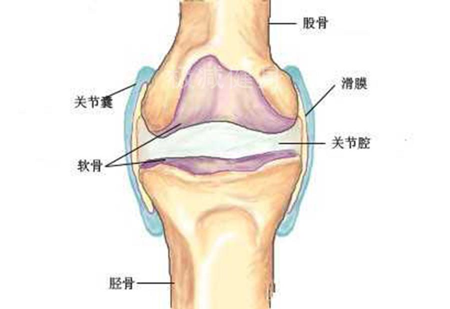 健身 关节_关节健身器材_关节健身操