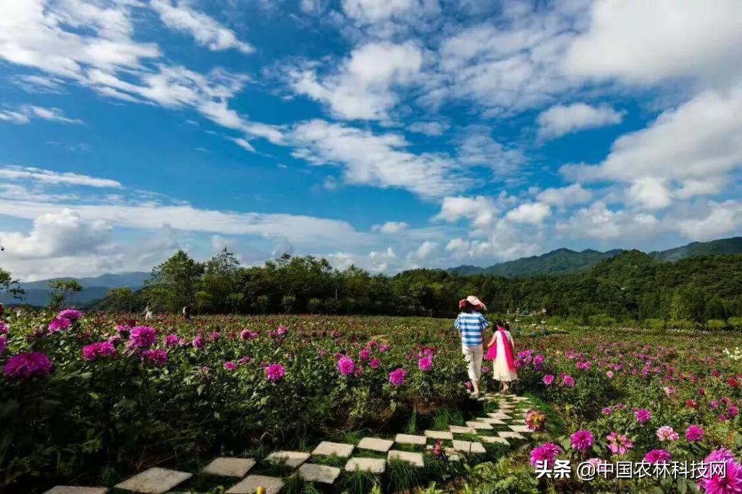 新华网:中国将成为全球健康产业的最大市场