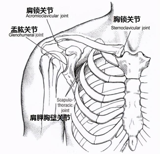 关节健身操_健身 关节_关节健身操视频