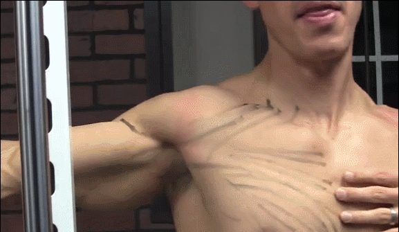 健身 关节_关节健身操视频_关节健身操