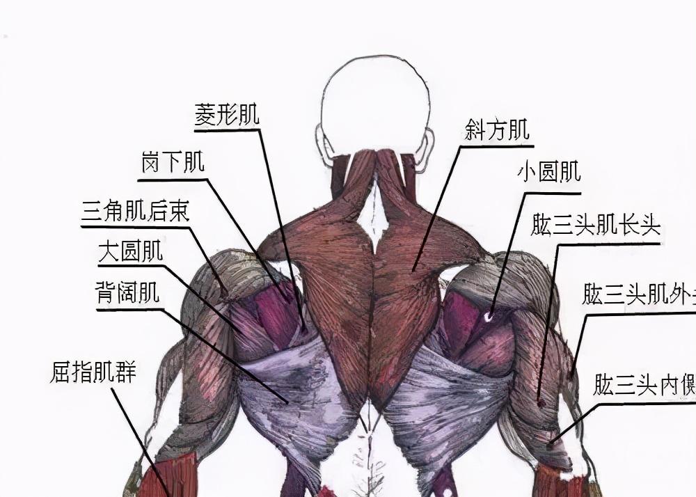 关节健身操_健身 关节_关节健身操视频