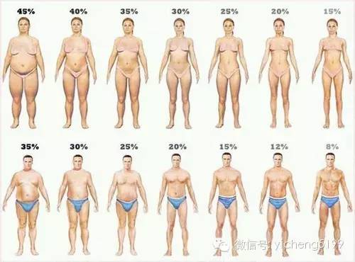 世界卫生组织已把肥胖认定为一种内分泌疾病