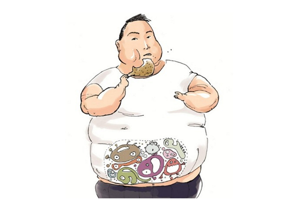 肥胖是你“自身中毒”了吗？你知道吗