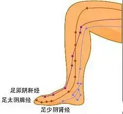 连按5次shift_顶峰健身次卡_按次健身