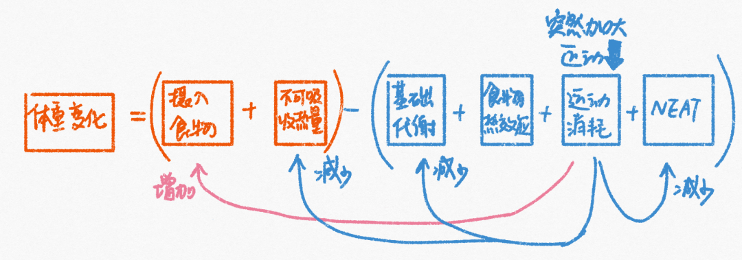 胖子做有氧会消耗肌肉吗_做有氧运动没瘦还胖了_肥胖做有氧还是无氧