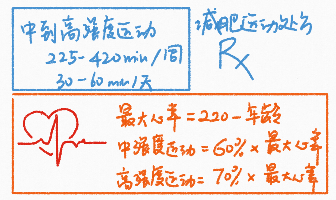 做有氧运动没瘦还胖了_肥胖做有氧还是无氧_胖子做有氧会消耗肌肉吗