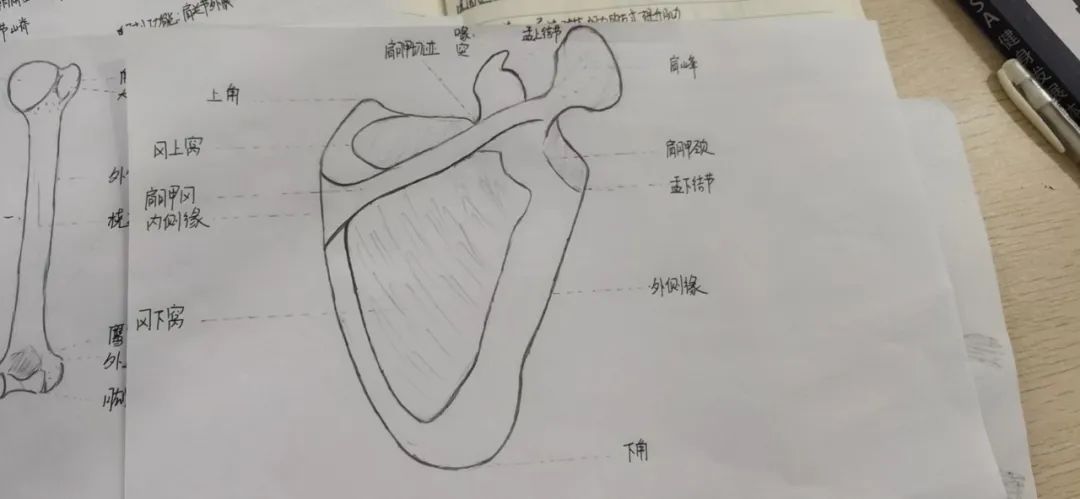 私教健身房能瘦多少斤_健身房减肥私教_健身房私教瘦腿有效吗