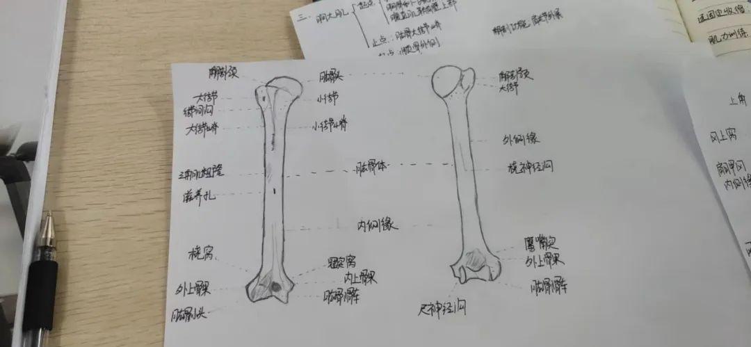 健身房减肥私教_健身房私教瘦腿有效吗_私教健身房能瘦多少斤